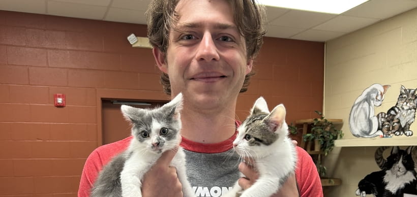 RSC employee volunteer holding two kittens during the annual Hardin County Animal Shelter COC volunteer day.