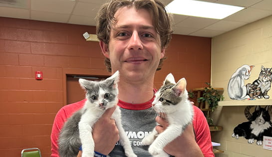 RSC employee holding two kittens during volunteer event at Hardin County Animal Shelter.