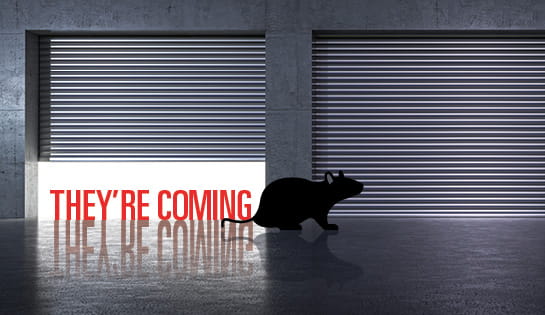 One open dock garage door with bright light showing through, next to a closed one. A silhouette of a mouse coming through the open dock door next to text of "They're coming."