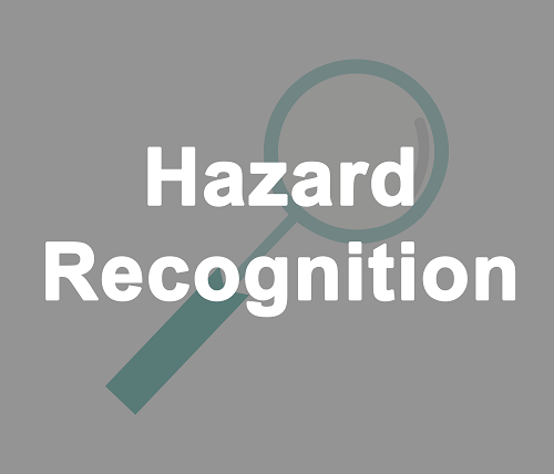 Hazard Recognition. Green magnifying glass.